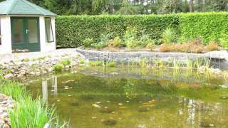 helderen natuurlijke vijver in belgie, op de achtergrond een tuinprieel